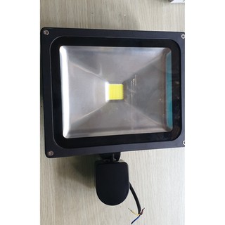 Đèn pha LED cảm ứng 30w