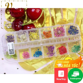 Set phụ kiện đính móng - Hoa khô ẩn móng - Hình ẩn móng