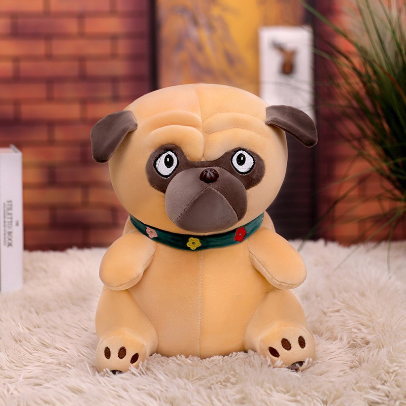 Chó Bông Mặt Xệ Pug Lông Siêu Mịn