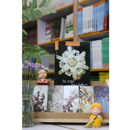 Sách - Bí Mật Của Nước - Thái Hà Books
