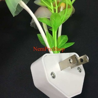 Đèn ngủ hình nấm avatar