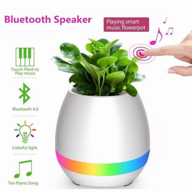 LOA BLUETOOTH TRỒNG CÂY, CẢM ỨNG ÂM THANH KHI CHẠM VÀO CÂY, LED 7 MÀU, ĐÈN NGỦ