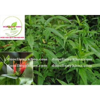 cây bìm bịp khô 1kg