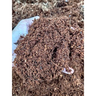 Mụn dừa đã xử lý 5 lít, mụn xơ dừa