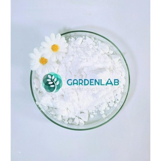 10gr Nguyên Liệu Mỹ Phẩm, ALPHA ARBUTIN - Tri nam/ Làm sáng da