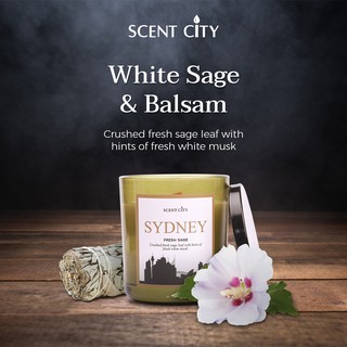 Nến thơm sydney hương white sage & balsam. scent city| sáp an toàn & cao cấp 8.8oz – 250gr mua 1 tặng 3 quà tặng - decor
