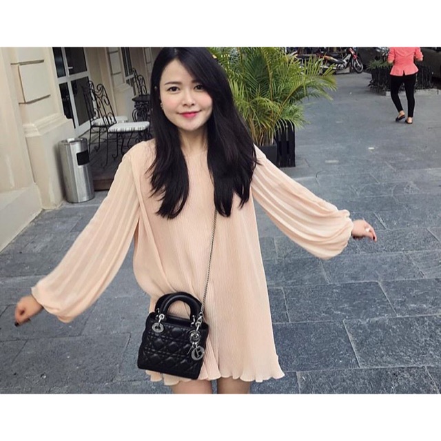 Túi xách DIOR LADY 3 ô 
