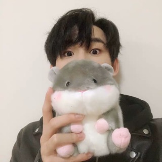 Hamster Diêu Sâm [R1SE]
