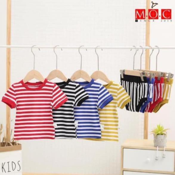 Móc áo gỗ đầu tròn trẻ em