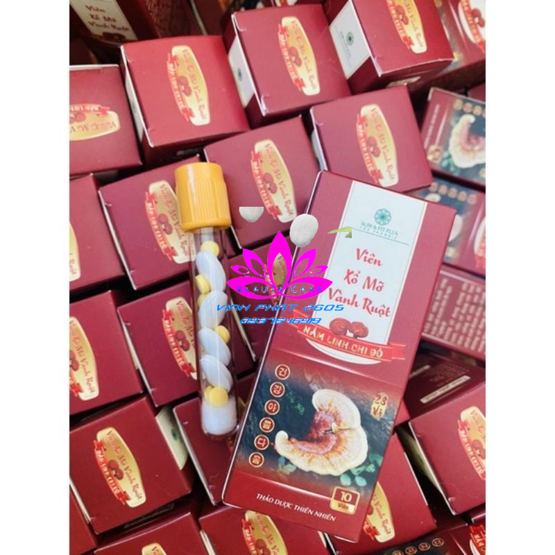 VIÊN XỖ MỠ VÀNH RUỘT  NẤM LINH CHI ĐỎ CHÍNH HÃNG HỘP 10V