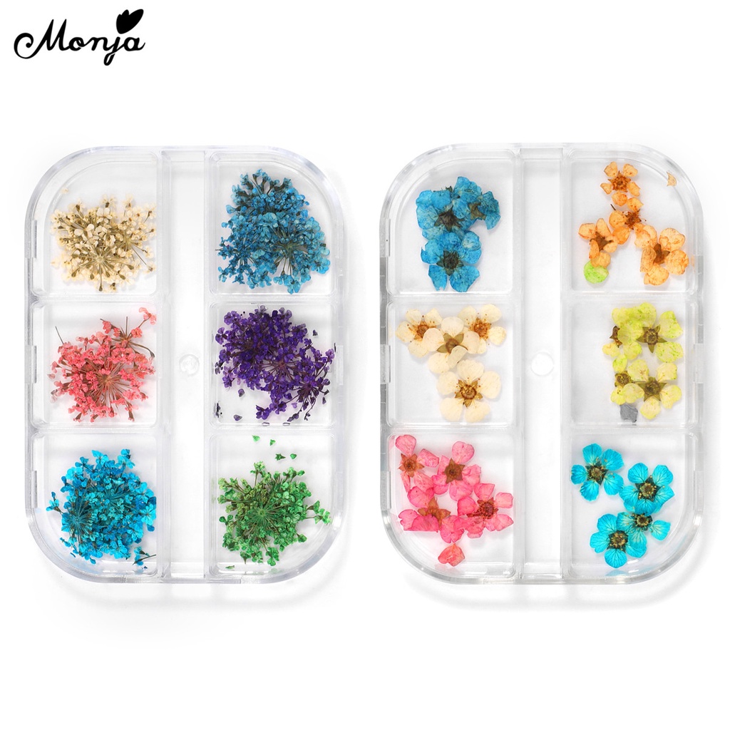 [Hàng mới về] Hoa khô 3d nhiều màu trang trí móng tay nghệ thuật Monja