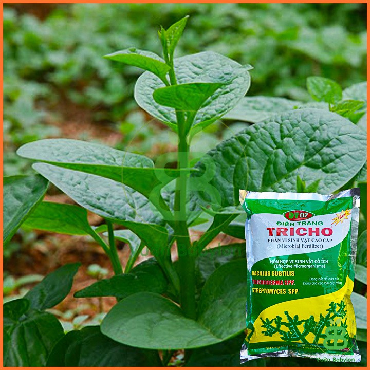 Phân vi sinh vật Tricho 500g, nấm Trichoderma, men ủ, phòng ngừa hiệu quả bệnh vàng lá, thối rễ…