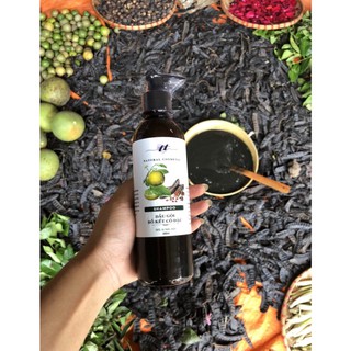 Dầu Gội Bồ Kết Cô Đặc