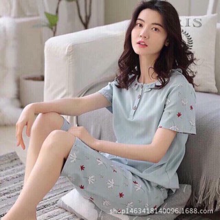 Bộ lửng Vic