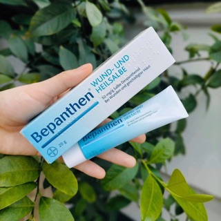 Kem hăm Bepanthen Đức 20g
