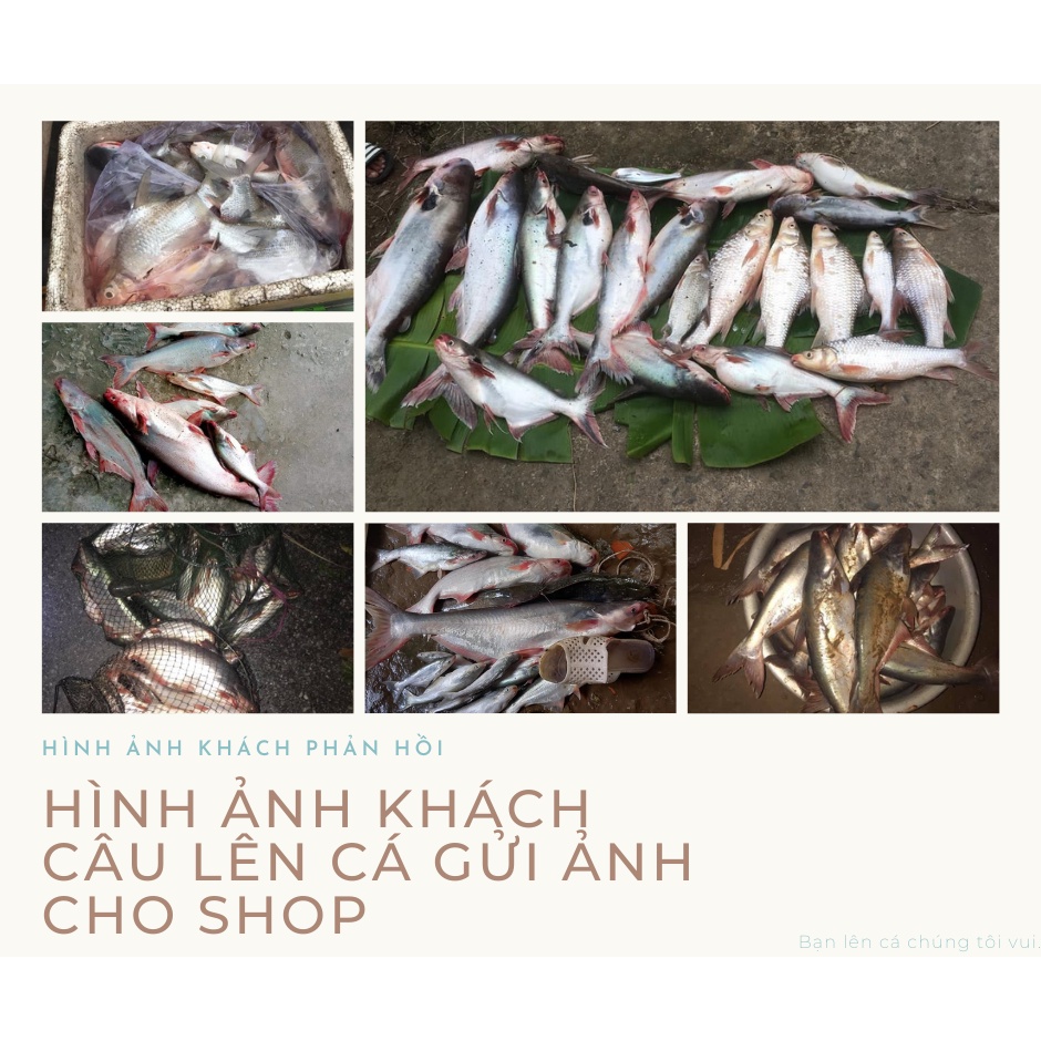 Mồi Câu Cá Tra sử dụng để câu mồi cám,mồi bún,mồi cháo cực kì hiệu quả.