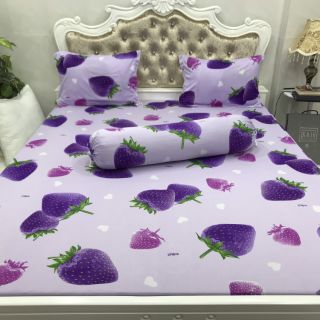 DRAP THUN HÀN QUỐC GIÁ HẤP DẪN