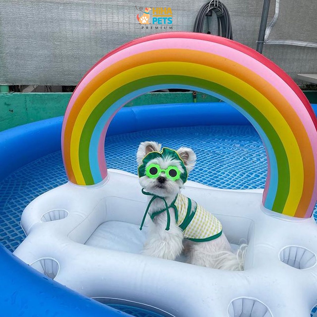 Mắt Kính Cho Chó Mèo Đi Bơi Phụ Kiện Kính Thời Trang Cho Thú Cưng Chụp Ảnh Dễ Thương Sành Điệu Hihapet.