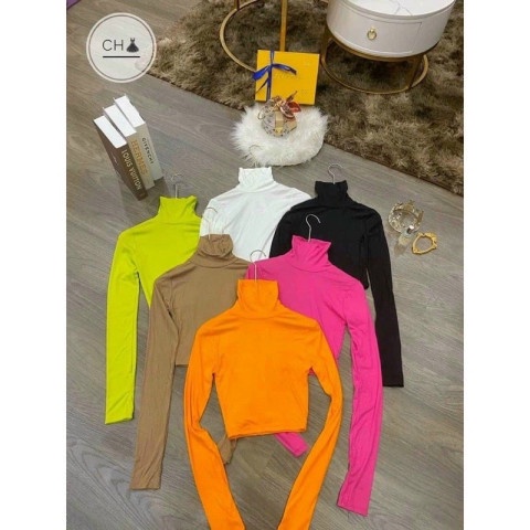 Áo thun croptop cổ lọ dài tay nhiều màu - Phông trơn dáng ôm body kiểu học sinh, phong cách hàn quốc đẹp ulzzang