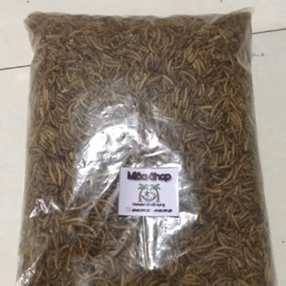Chuyên sỉ Sâu gạo rang size 3cm cho hamster, nhím 1kg