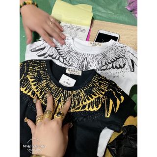 Bộ siêu nhân và áo đại bàng trắng