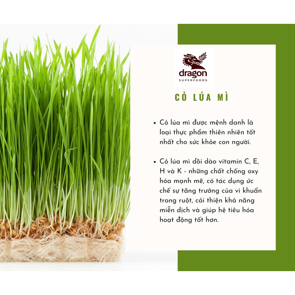 Bột cỏ lúa mì hữu cơ 150g Dragon SuperFoods Organic WheatGrass Powder
