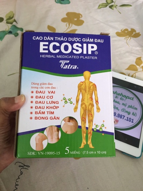 Cao dán thảo dược Ecosip