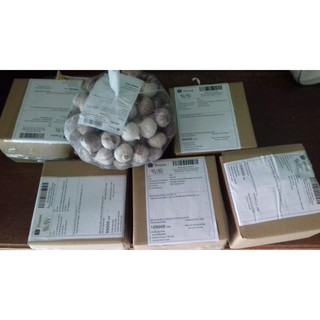 [FREE SHIP 99K]  Tỏi cô đơn - tỏi một nhánh Phan Rang