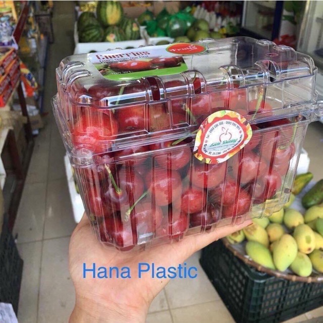 10 Hộp nhựa đựng trái cây, hộp đựng hoa quả