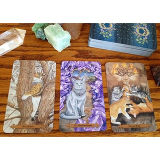 Bài Mystical Cats Tarot