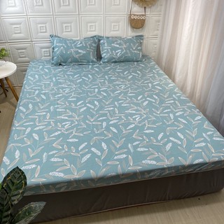 Vỏ Gối Cotton poly (30x45) siêu đẹp