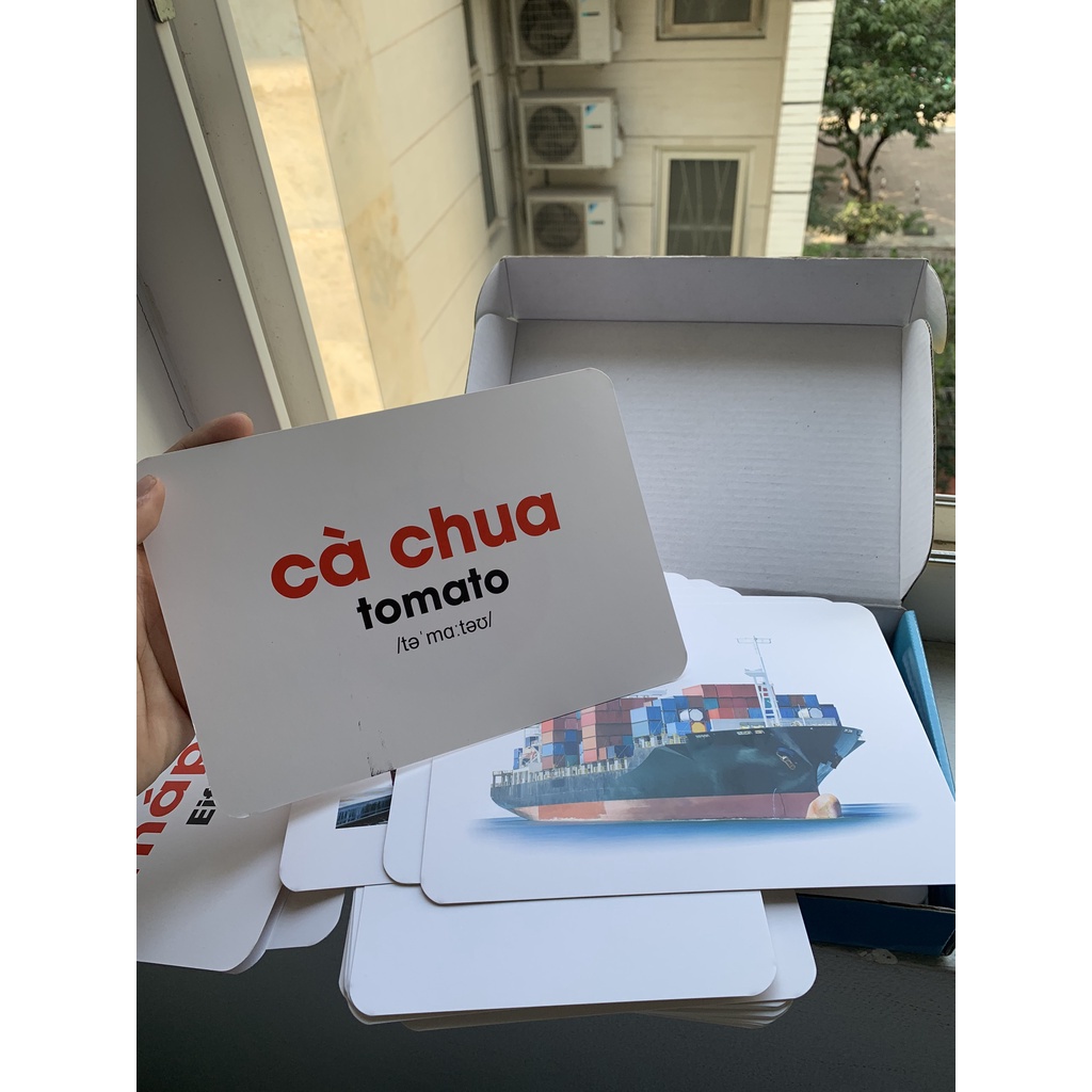 Bộ 100 thẻ học thông minh cho bé - Flashcard TNBOOKS Thế Giới Xung Quanh giáo dục sớm glenn doman  TN0027