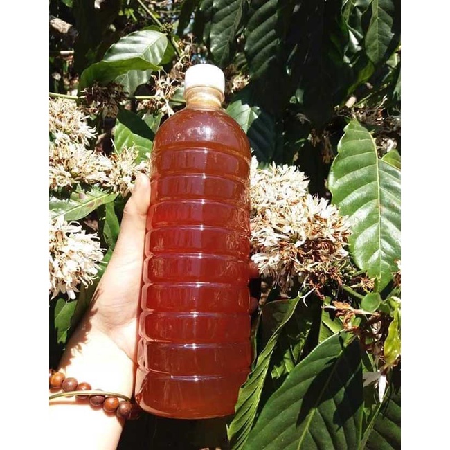 Mật ong hoa cà phê nguyên chất 100%Tây Nguyên 500ml - chai nhựa SUKADO