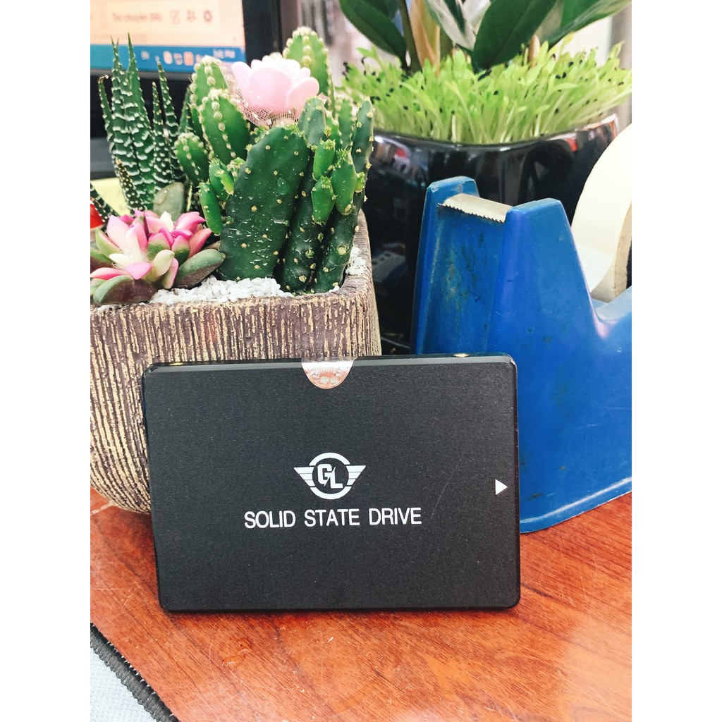 [Chính Hãng]Ổ cứng gắn trong SSD Gloway/Vaseky 120Gb chính hãng bảo hành 36 tháng | BigBuy360 - bigbuy360.vn