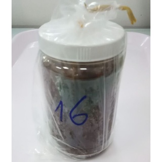 Mắm cá sơn
