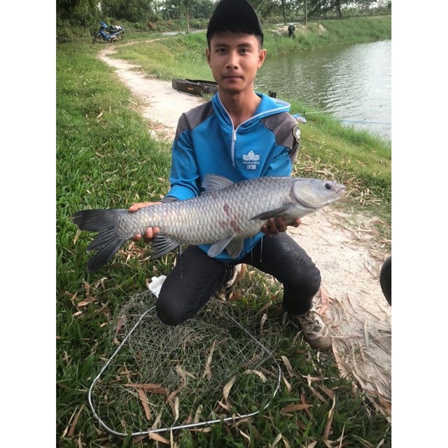 [Siêu nhạy] Bình xịt dụ cá Fish Bait, chất dụ mồi câu siêu hút cá, dung dịch tạo mùi thu hút cả đàn cá hàng nhập từ mỹ