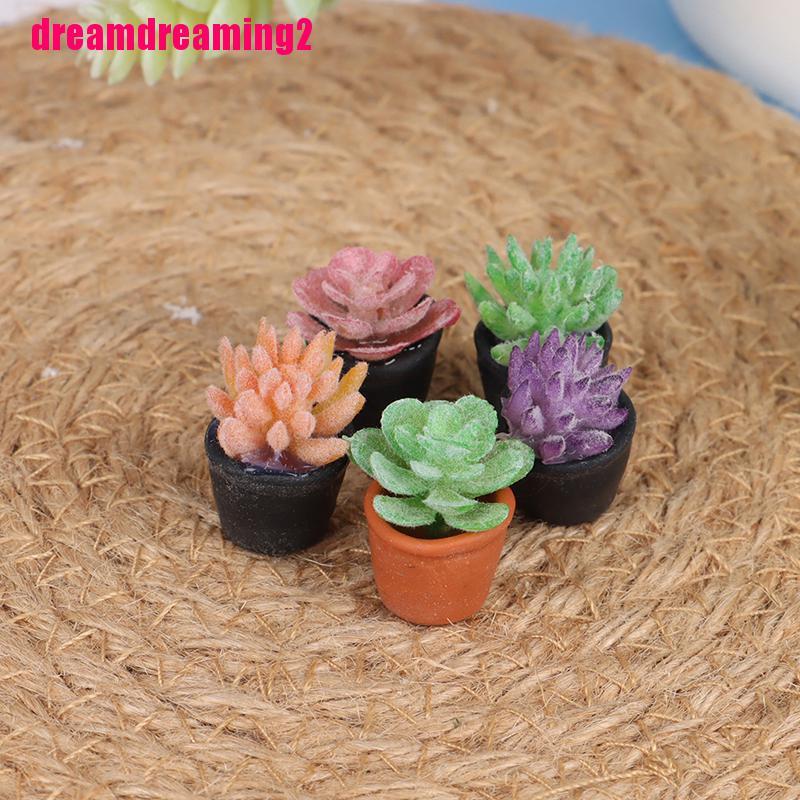 Bộ 5 Mô Hình Chậu Cây Mini Tỉ Lệ 1: 1 Dùng Để Trang Trí Nhà Búp Bê