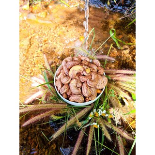 Điều size A cồ rang muối Bình Phước