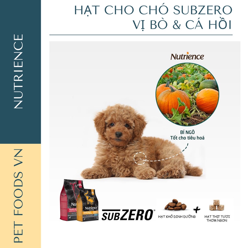 Hạt cho chó NUTRIENCE Subzero Dog 500g vị Bò &amp; Cá Hồi