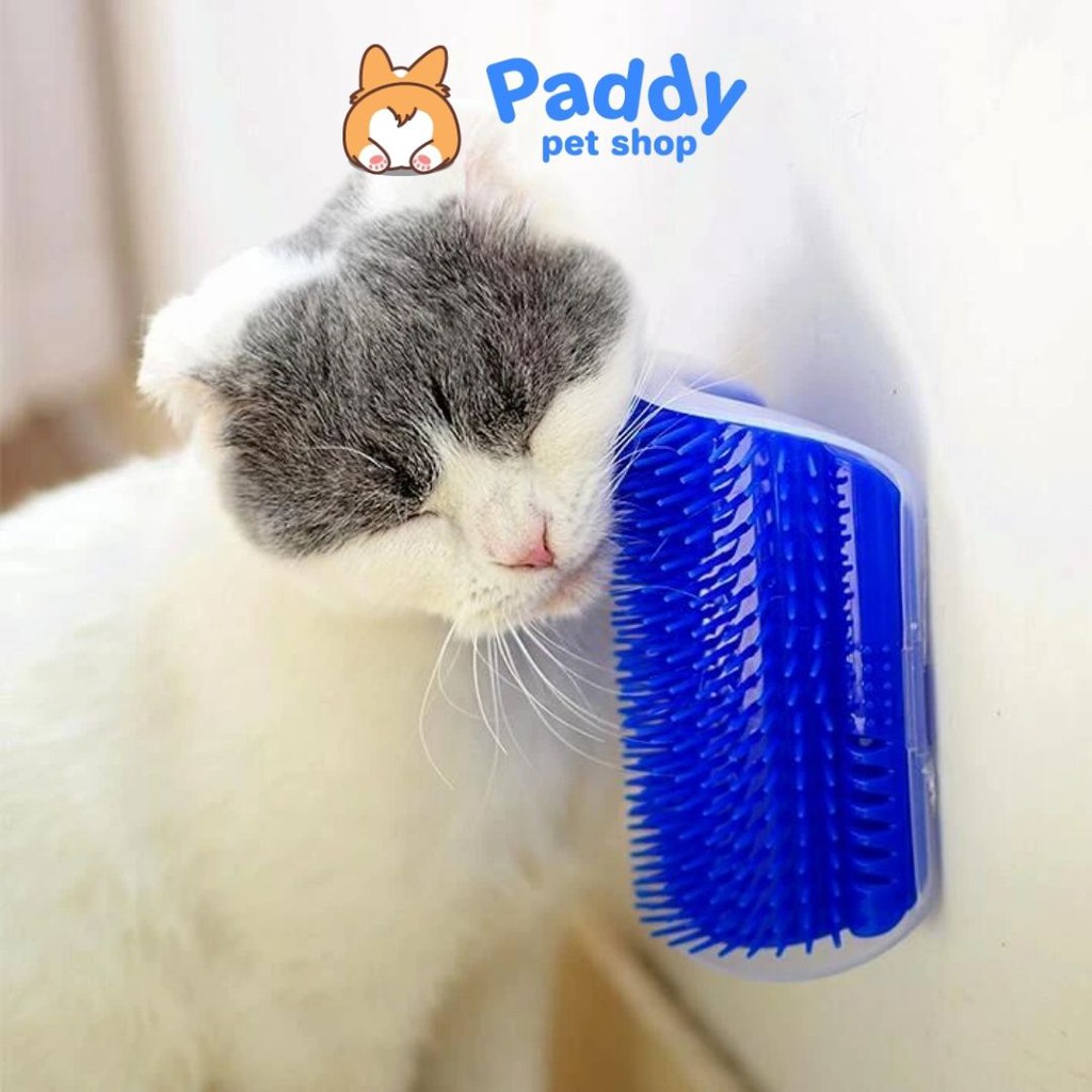 Lược Cố Định Cho Mèo Tự Chải Lông Chứa Cỏ Mèo