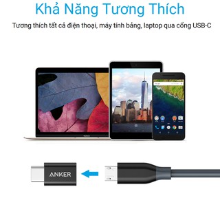 Bộ chuyển đổi ANKER từ Micro USB ra USB-C, 2 bộ - B8174