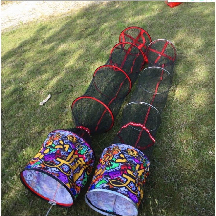 Rọng cá màu sắc