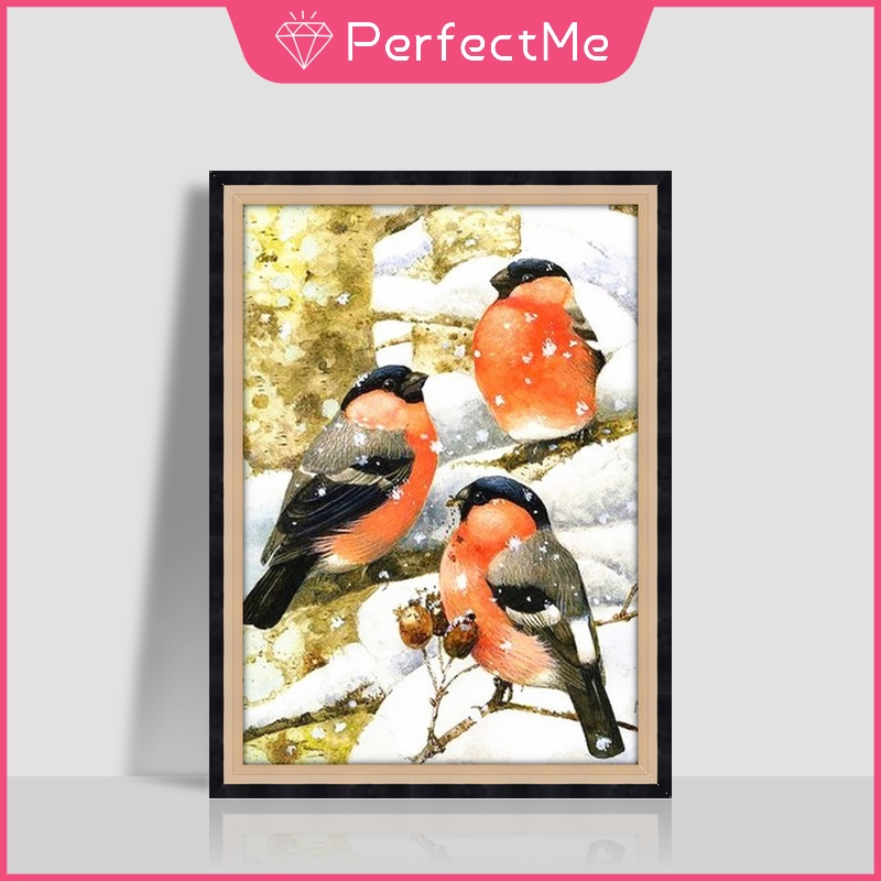 Bộ Tranh Đính Đá Tự Làm Kích Thước 30X40Cm Họa Tiết Chim Đơn Giản Hiện Đại Trang Trí Nội Thất