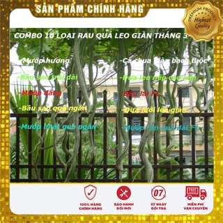 COMBO 10 loại rau quả leo giàn tháng 3-4-5 LUCKY SEEDS