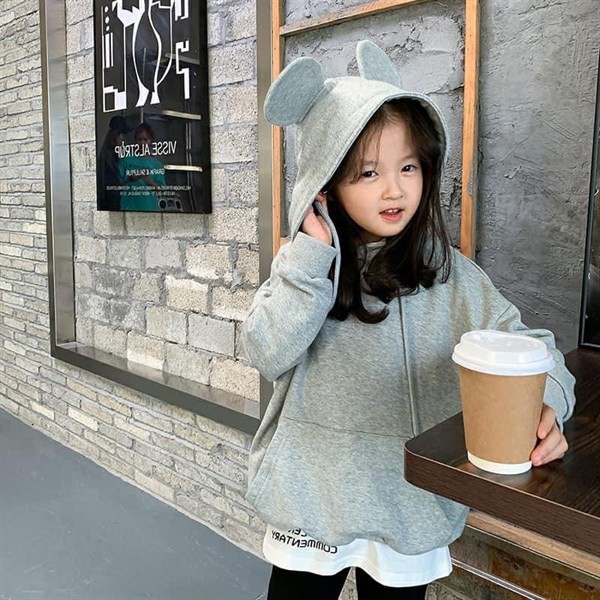 Áo nỉ hoodie cho bé 2610NH