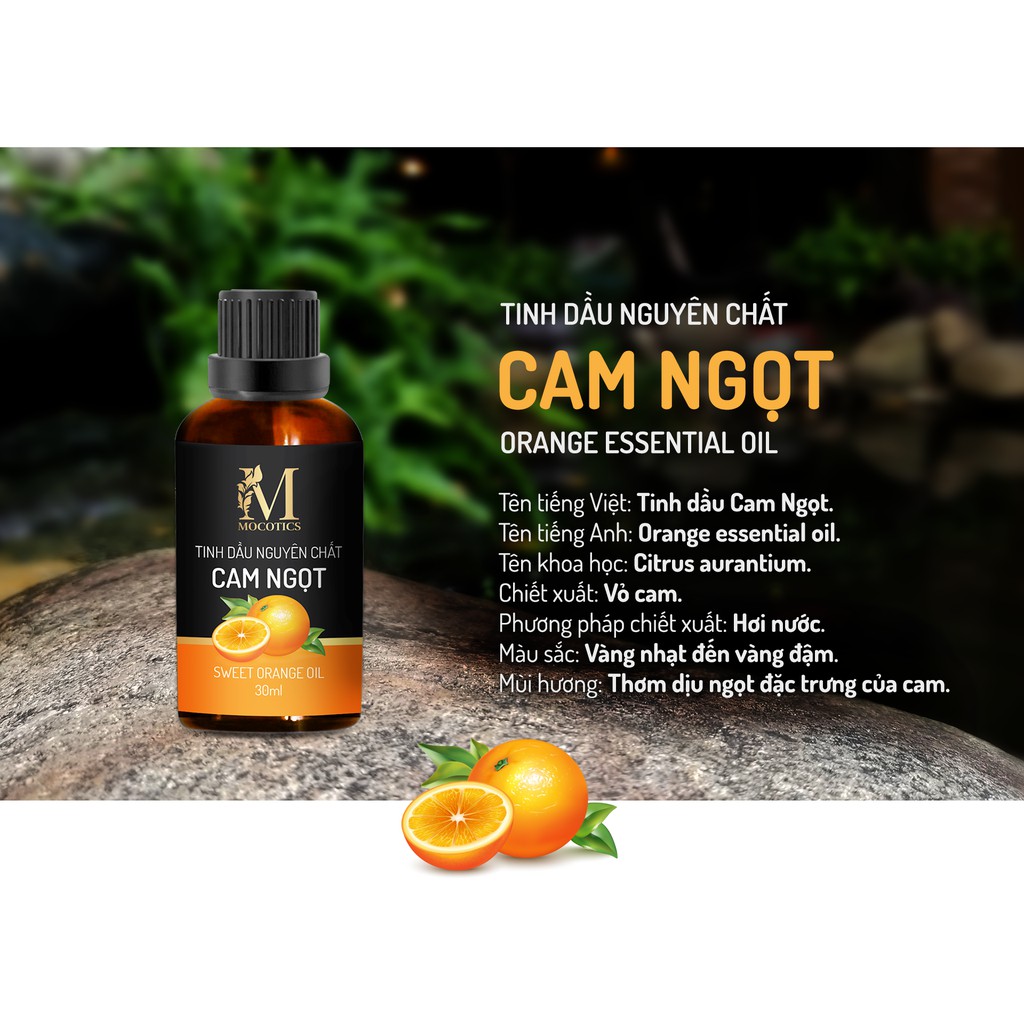 Tinh Dầu Cam Ngọt Mocotics Chai 50ML| 100% Thiên Nhiên Nguyên Chất | Xông Thơm Phòng | Tặng lọ treo tinh dầu treo xe