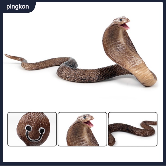 Tdg Mô Hình Rắn Giả Đáng Sợ Trang Trí Halloween