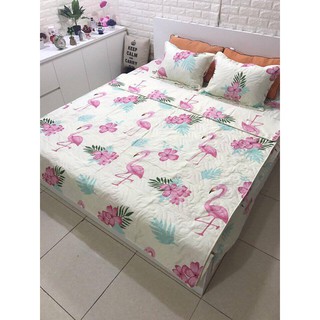 Bô chăn ga trần bông dày dặn