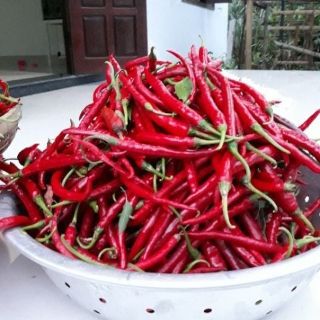 Ớt bột Huế làm bằng tay 1kg