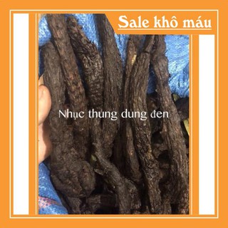 [HÀNG CHUẨN LOẠI 1] 100g Nhục Thung Dung